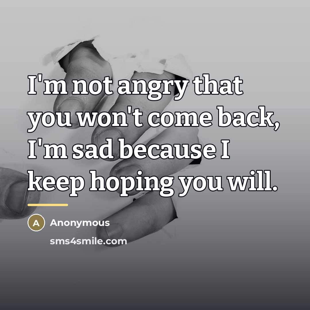 “I'm not angry that you won't come back, I'm sad…” quote by Anonymous