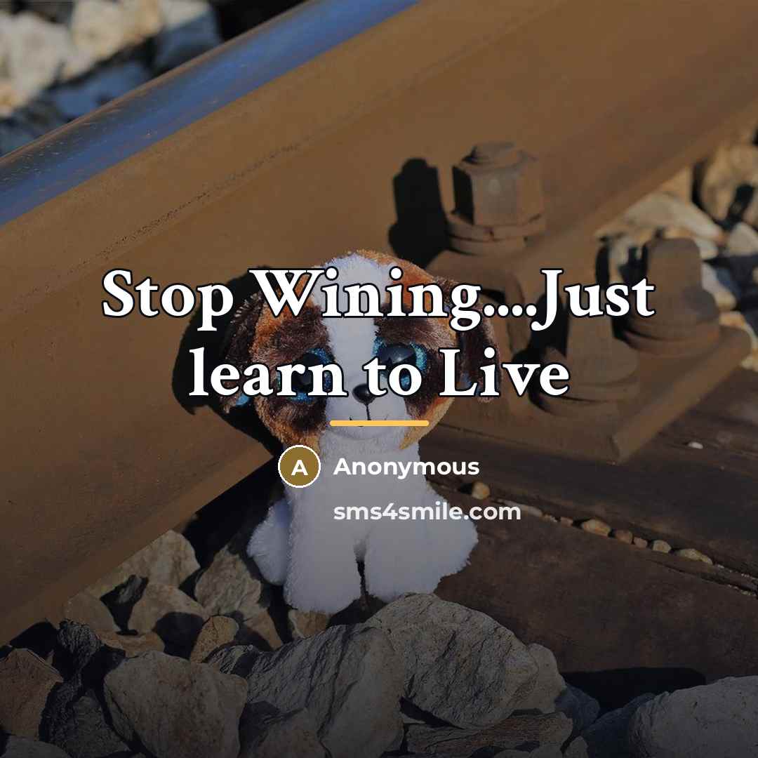 “Stop Wining....Just learn to Live…” quote by Anonymous
