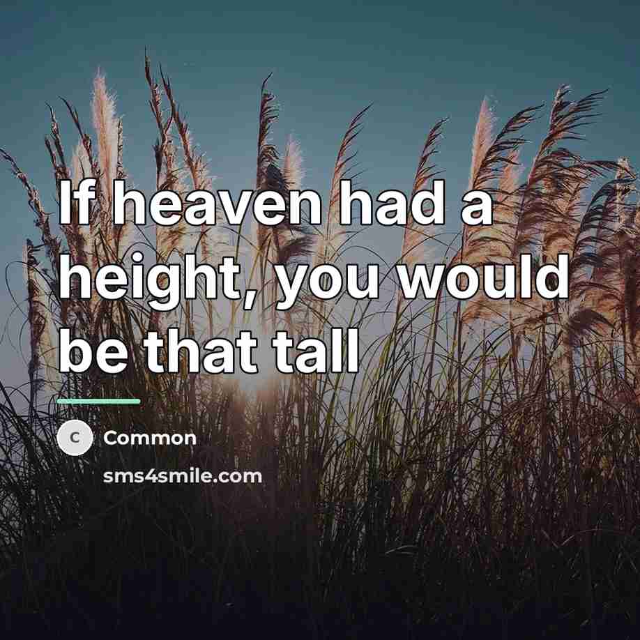 “If heaven had a height, you would be that tall…” quote by Common