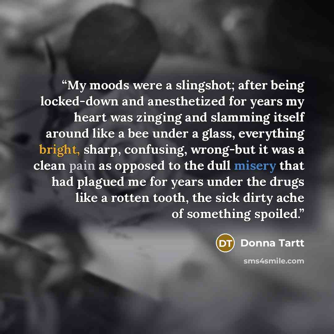 “My moods were a slingshot; after being locked-down and anesthetized for years my heart was zinging and slamming itself around like a bee under a glass, everything bright, sharp, confusing, wrong-but it was a clean pain as opposed to the dull misery that had plagued me for years under the drugs…” quote by Donna Tartt