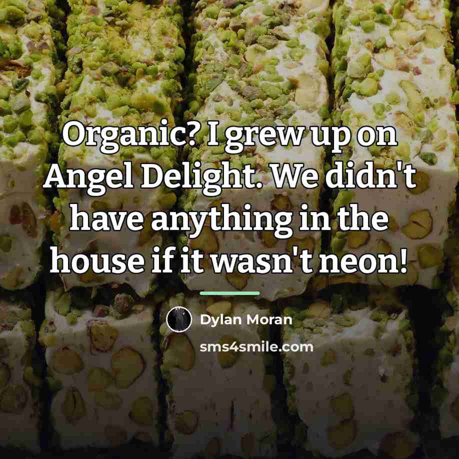 “Organic? I grew up on Angel Delight. We didn't have…” quote by Dylan Moran