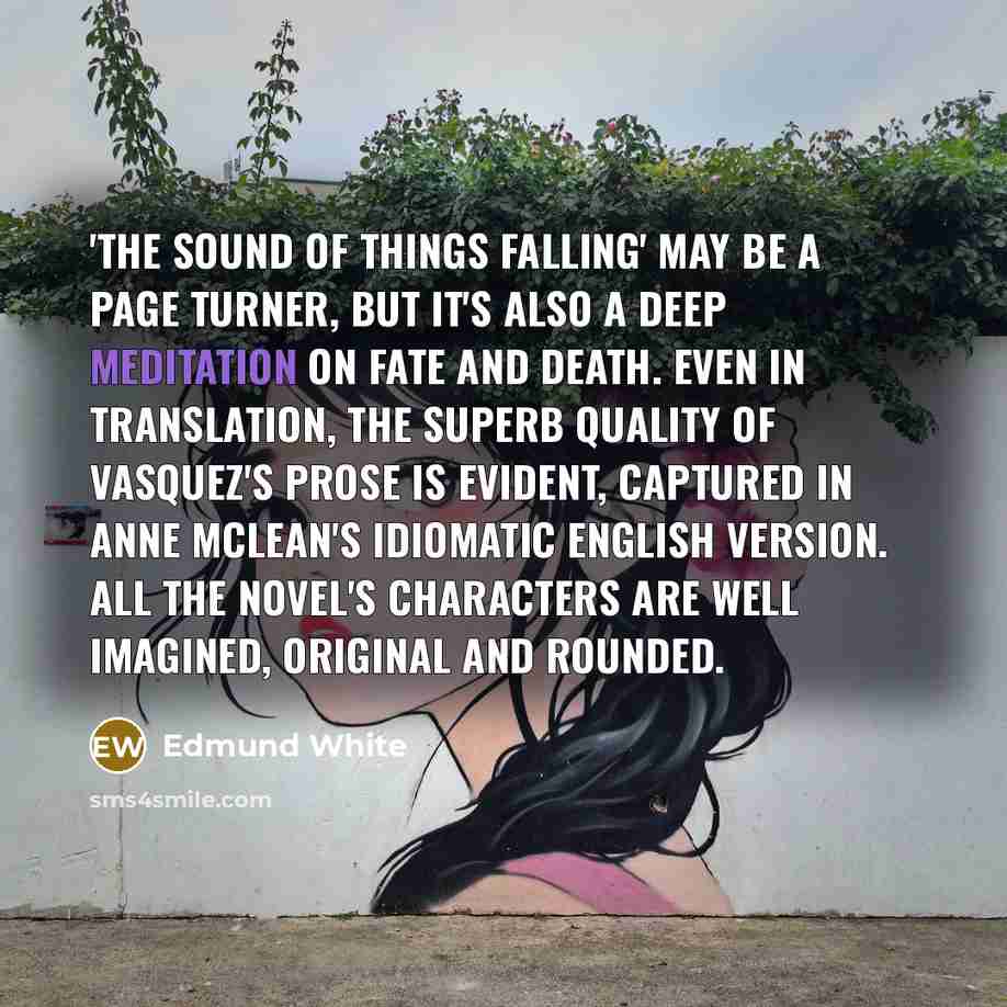 “'The Sound of Things Falling' may be a page turner,…” quote by Edmund White