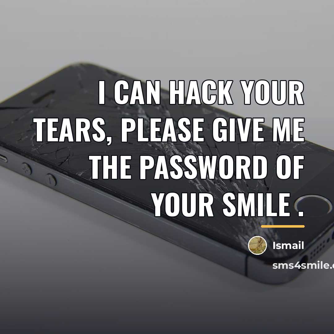 “I Can Hack Your Tears, Please Give Me The Password…” quote by Ismail