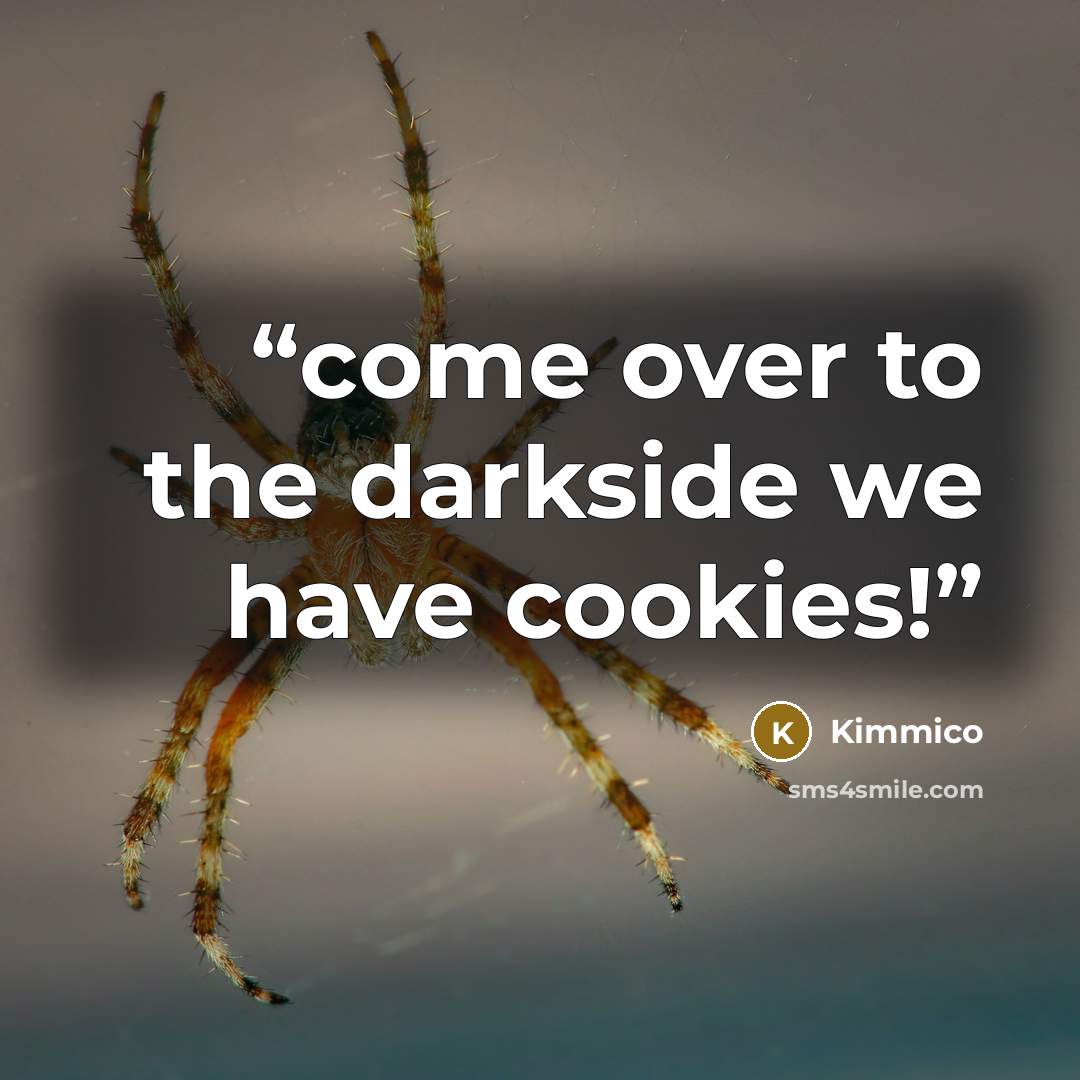 “come over to the darkside we have cookies!” quote by Kimmico