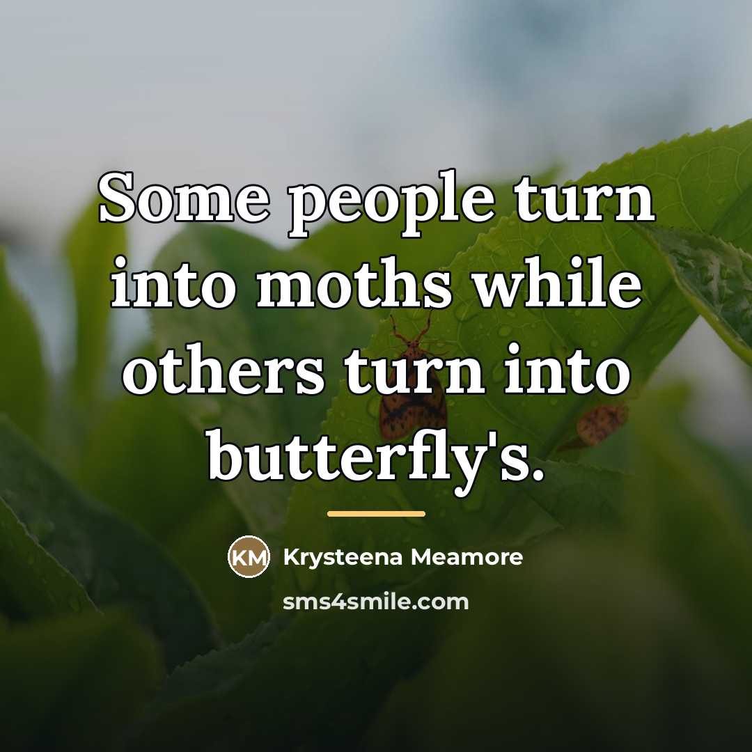 “Some people turn into moths while others turn into butterfly's.…” quote by Krysteena Meamore