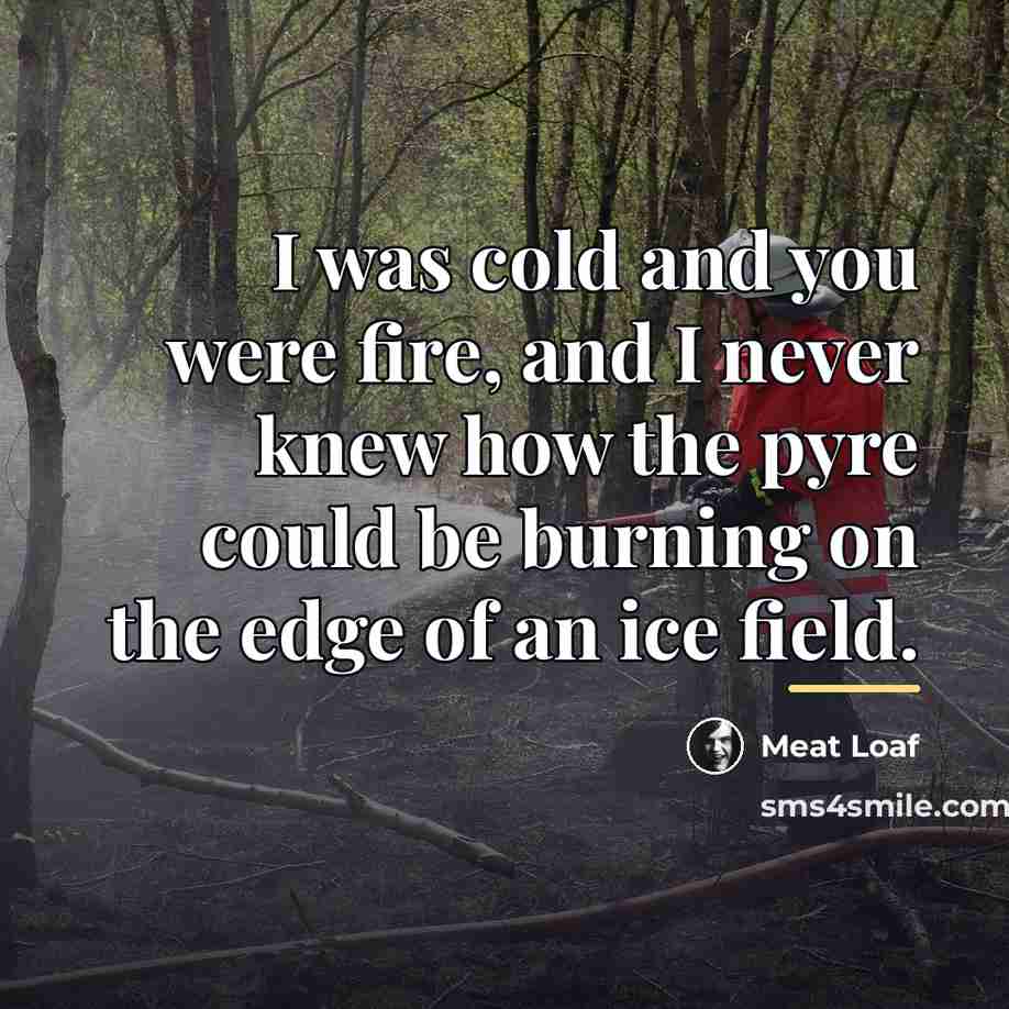 “I was cold and you were fire, and I never…” quote by Meat Loaf
