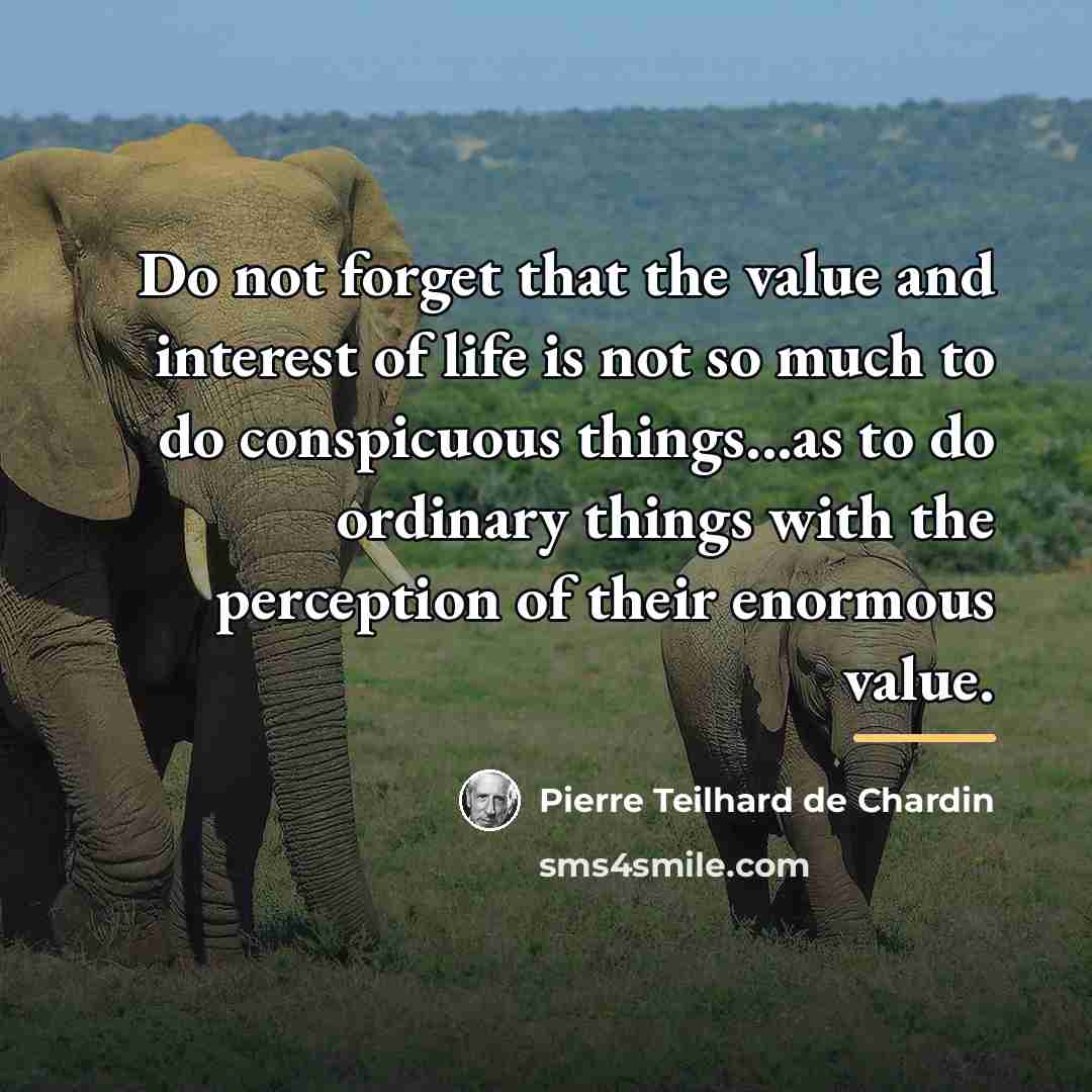 “Do not forget that the value and interest of life…” quote by Pierre Teilhard de Chardin
