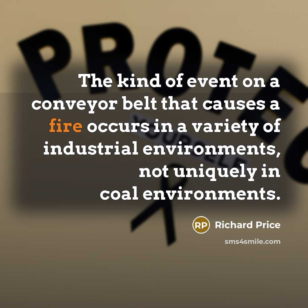 “The kind of event on a conveyor belt that causes…” quote by Richard Price