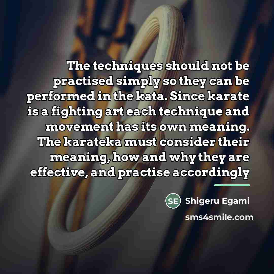 “The techniques should not be practised simply so they can…” quote by Shigeru Egami