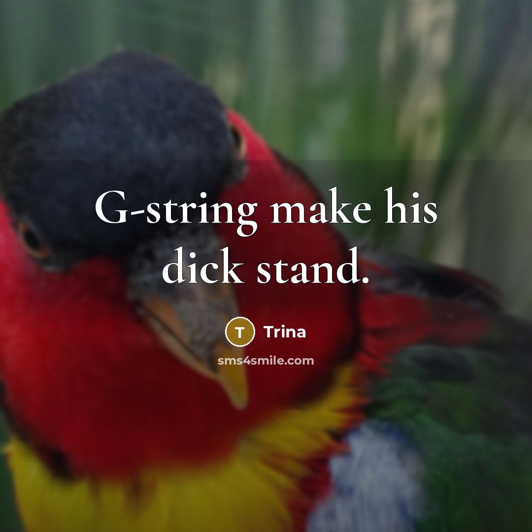 “G-string make his dick stand.” quote by Trina