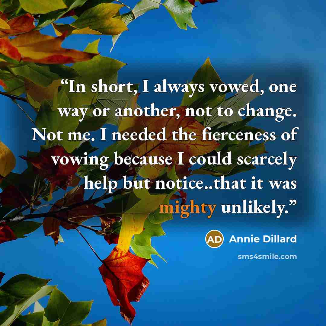 “In short, I always vowed, one way or another, not to change. Not me. I needed the fierceness of vowing because I could scarcely help but notice..that it was mighty unlikely.” quote by Annie Dillard