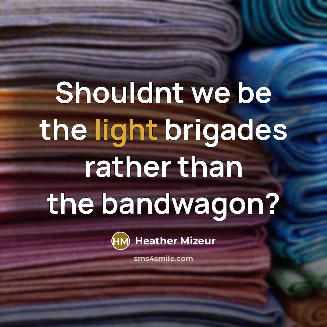 “Shouldnt we be the light brigades rather than the bandwagon?” quote by Heather Mizeur