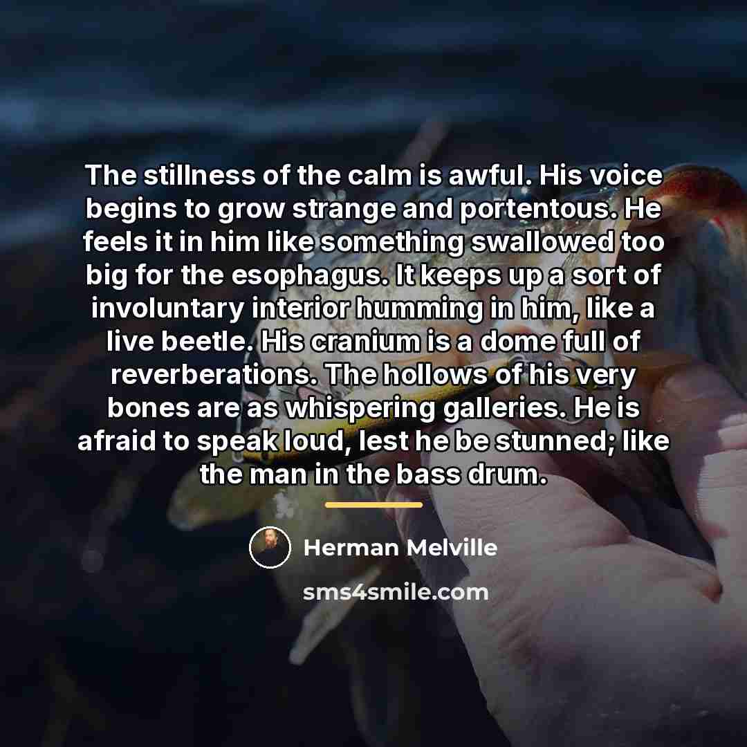 “The stillness of the calm is awful. His voice begins…” quote by Herman Melville