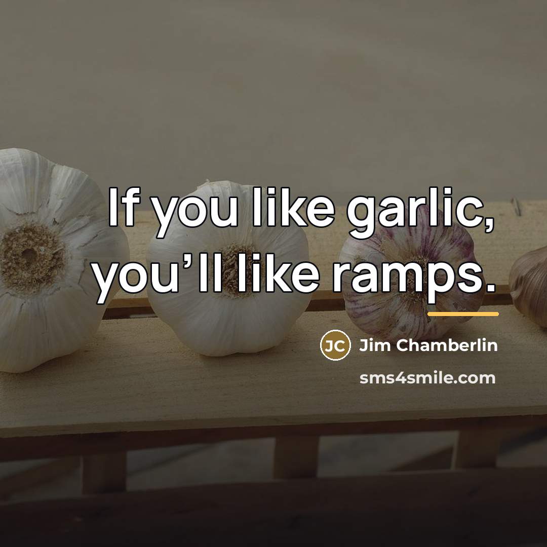 “If you like garlic, you'll like ramps.…” quote by Jim Chamberlin