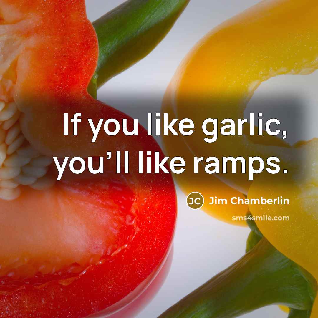 “If you like garlic, you'll like ramps.” quote by Jim Chamberlin