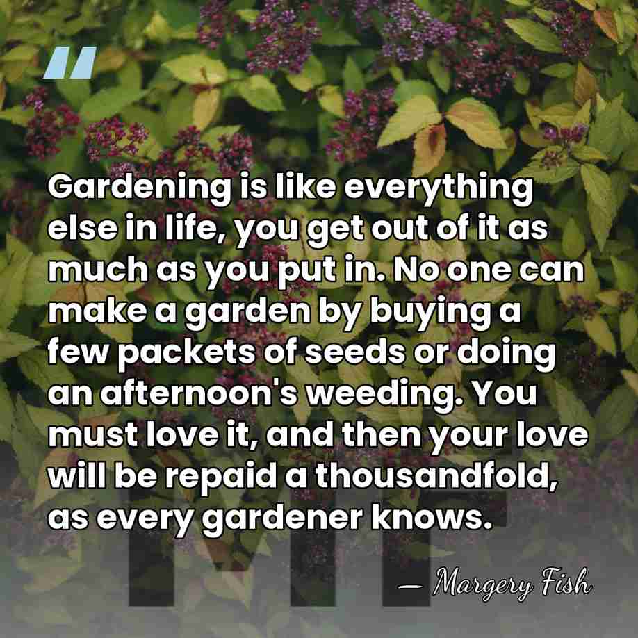 Gardening is like everything else in life, you get out of it&hellip; - Margery Fish