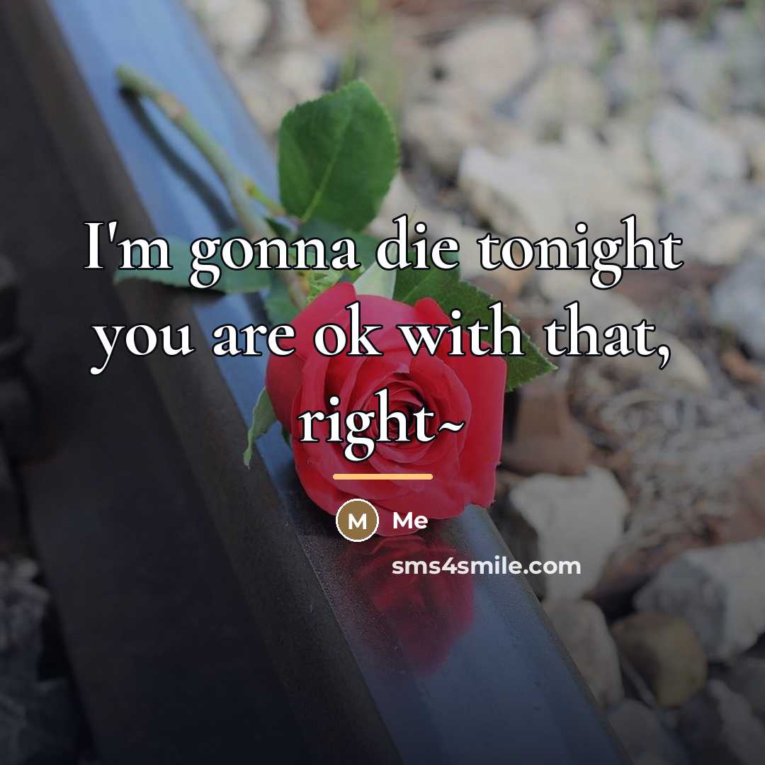 “I'm gonna die tonight you are ok with that, right~…” quote by Me