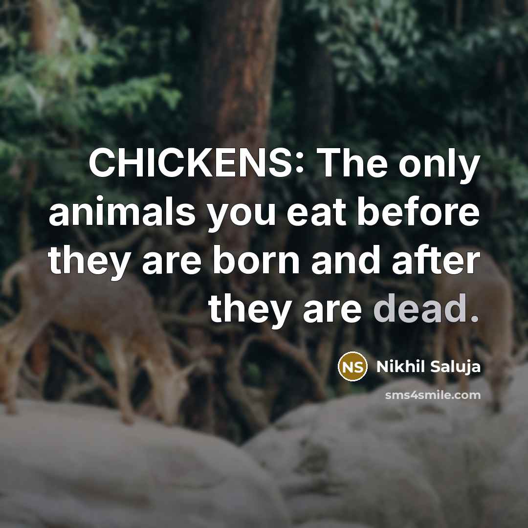 “CHICKENS: The only animals you eat before they are born…” quote by Nikhil Saluja