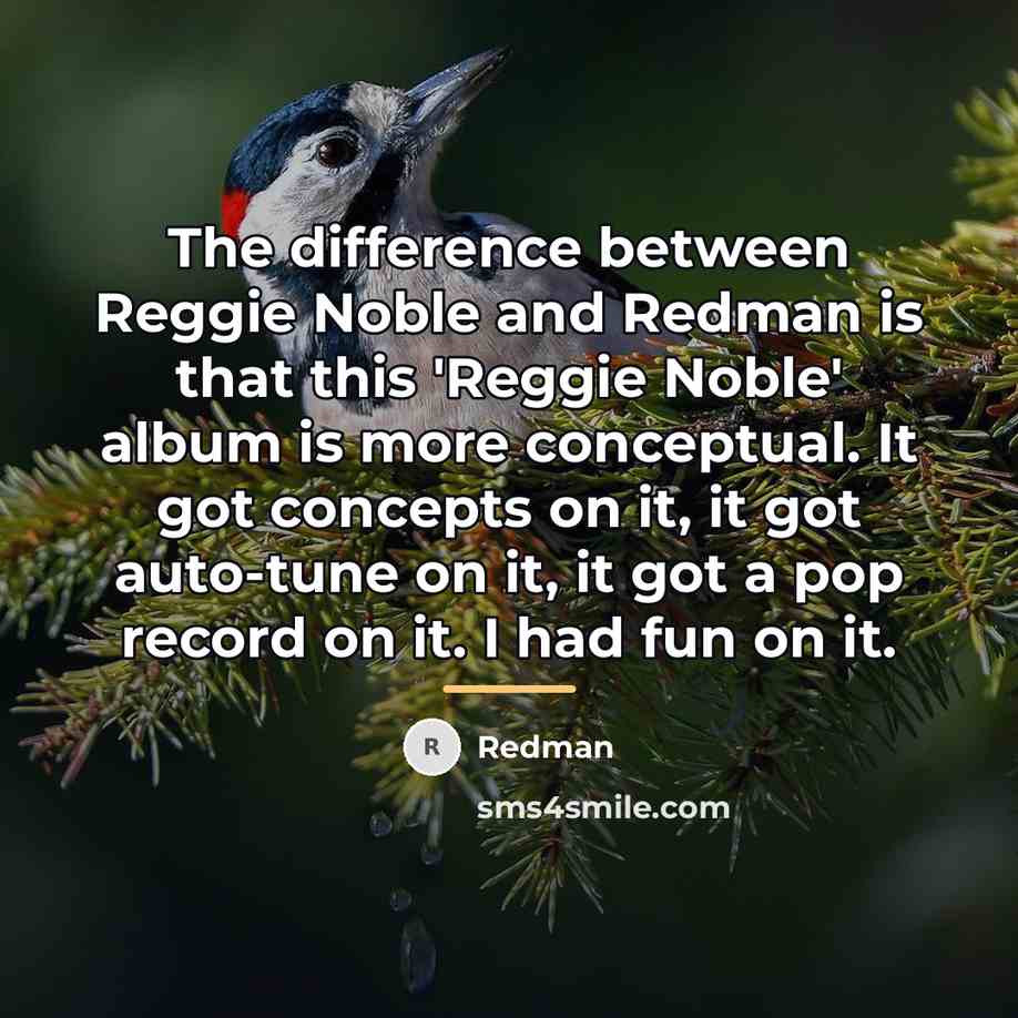 “The difference between Reggie Noble and Redman is that this…” quote by Redman