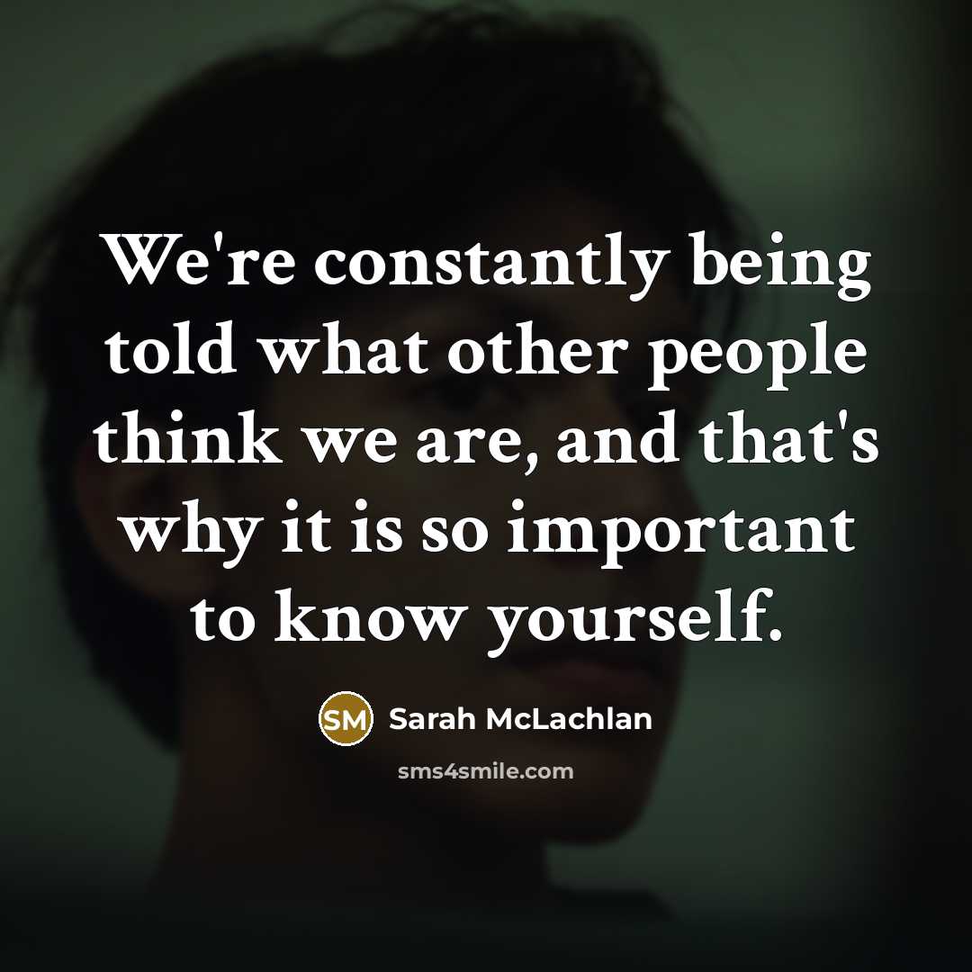 “We're constantly being told what other people think we are,…” quote by Sarah McLachlan