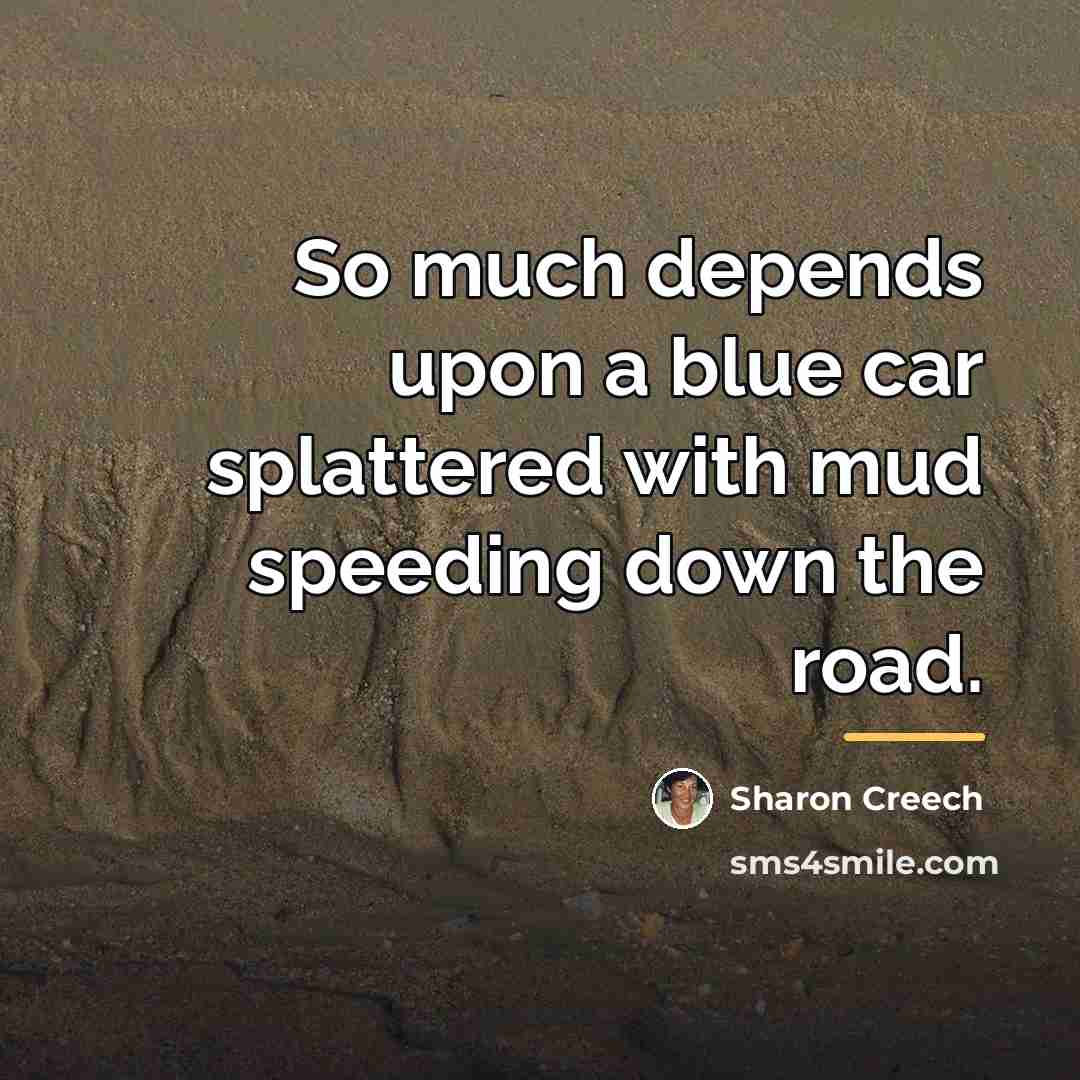 “So much depends upon a blue car splattered with mud…” quote by Sharon Creech
