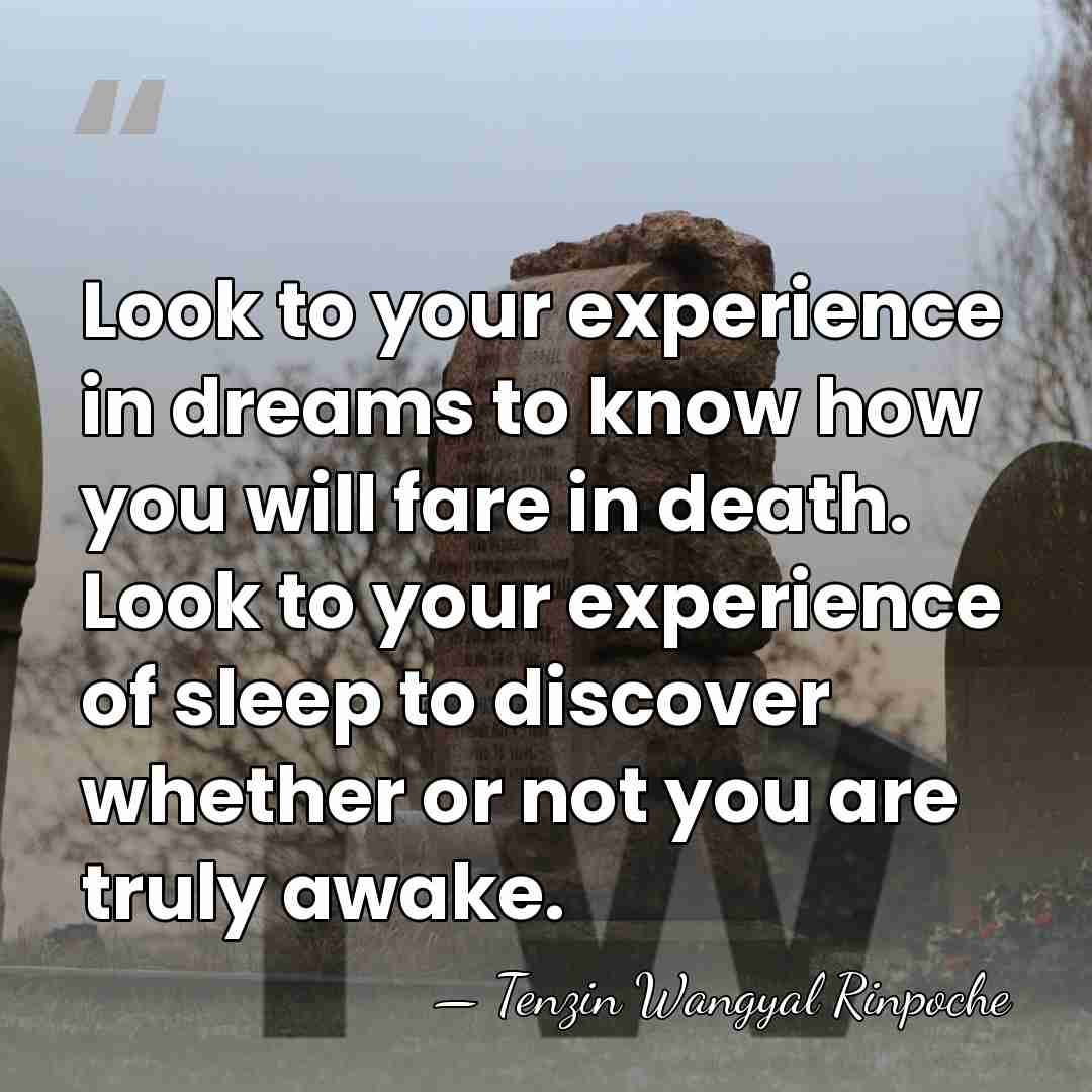 Look to your experience in dreams to know how you will fare&hellip; - Tenzin Wangyal Rinpoche