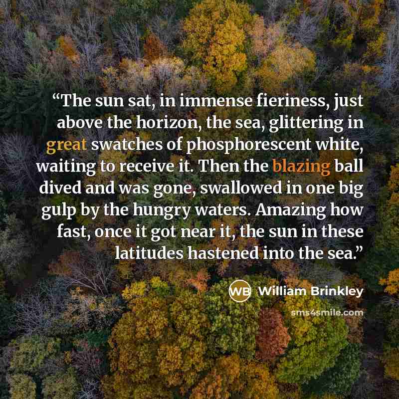 “The sun sat, in immense fieriness, just above the horizon, the sea, glittering in great swatches of phosphorescent white, waiting to receive it. Then the blazing ball dived and was gone, swallowed in one big gulp by the hungry waters. Amazing how fast, once it got near it, the sun in these…” quote by William Brinkley