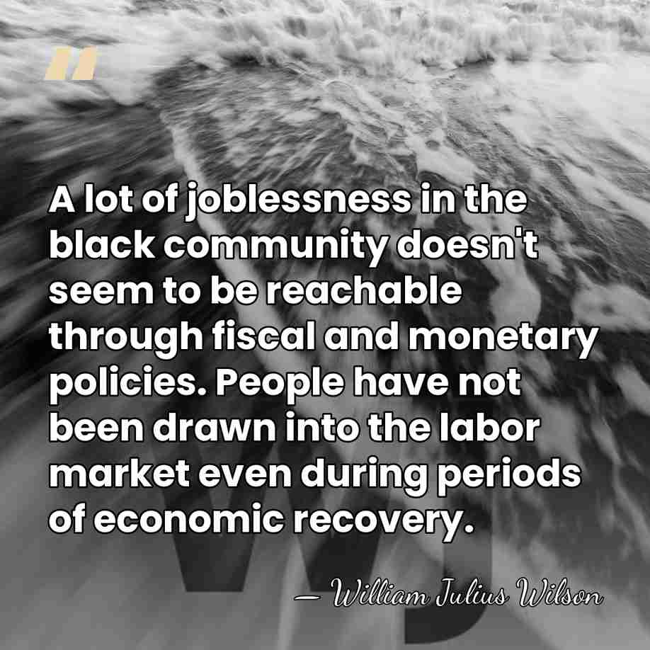 A lot of joblessness in the black community doesn't seem to be&hellip; - William Julius Wilson