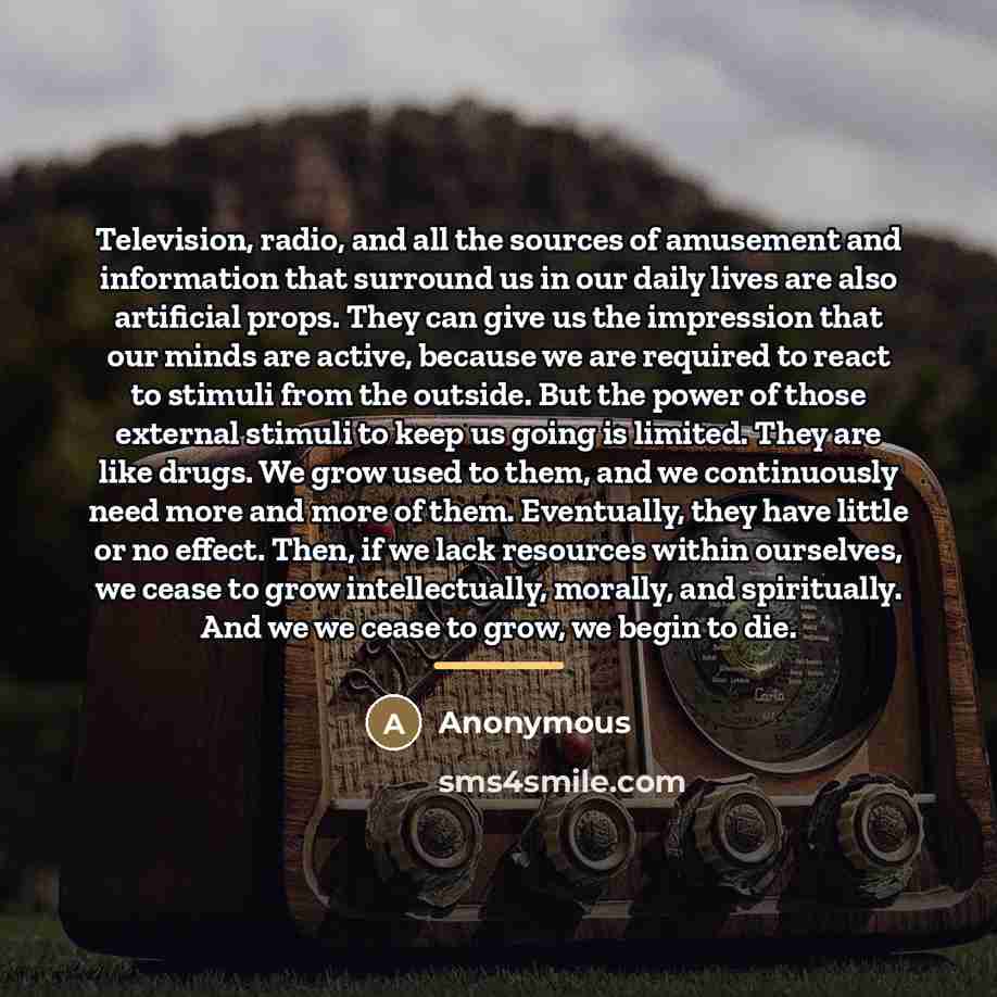 “Television, radio, and all the sources of amusement and information…” quote by Anonymous