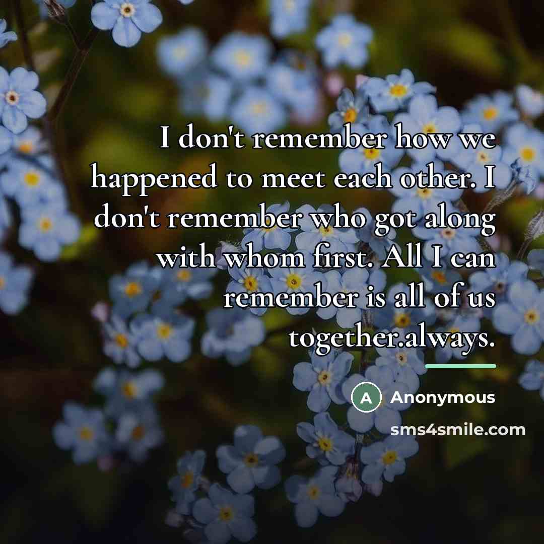 “I don't remember how we happened to meet each other.…” quote by Anonymous