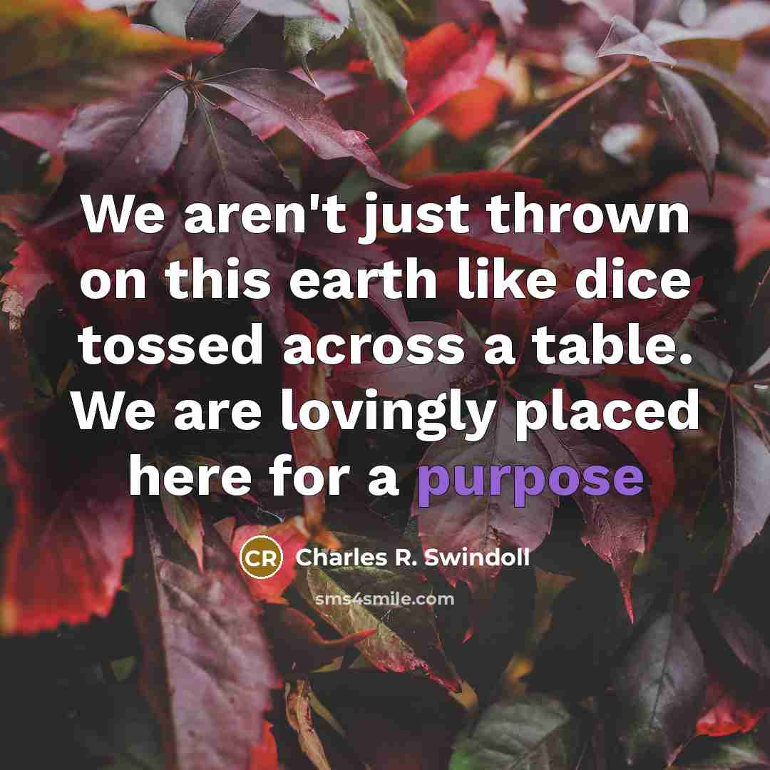 “We aren't just thrown on this earth like dice tossed…” quote by Charles R. Swindoll