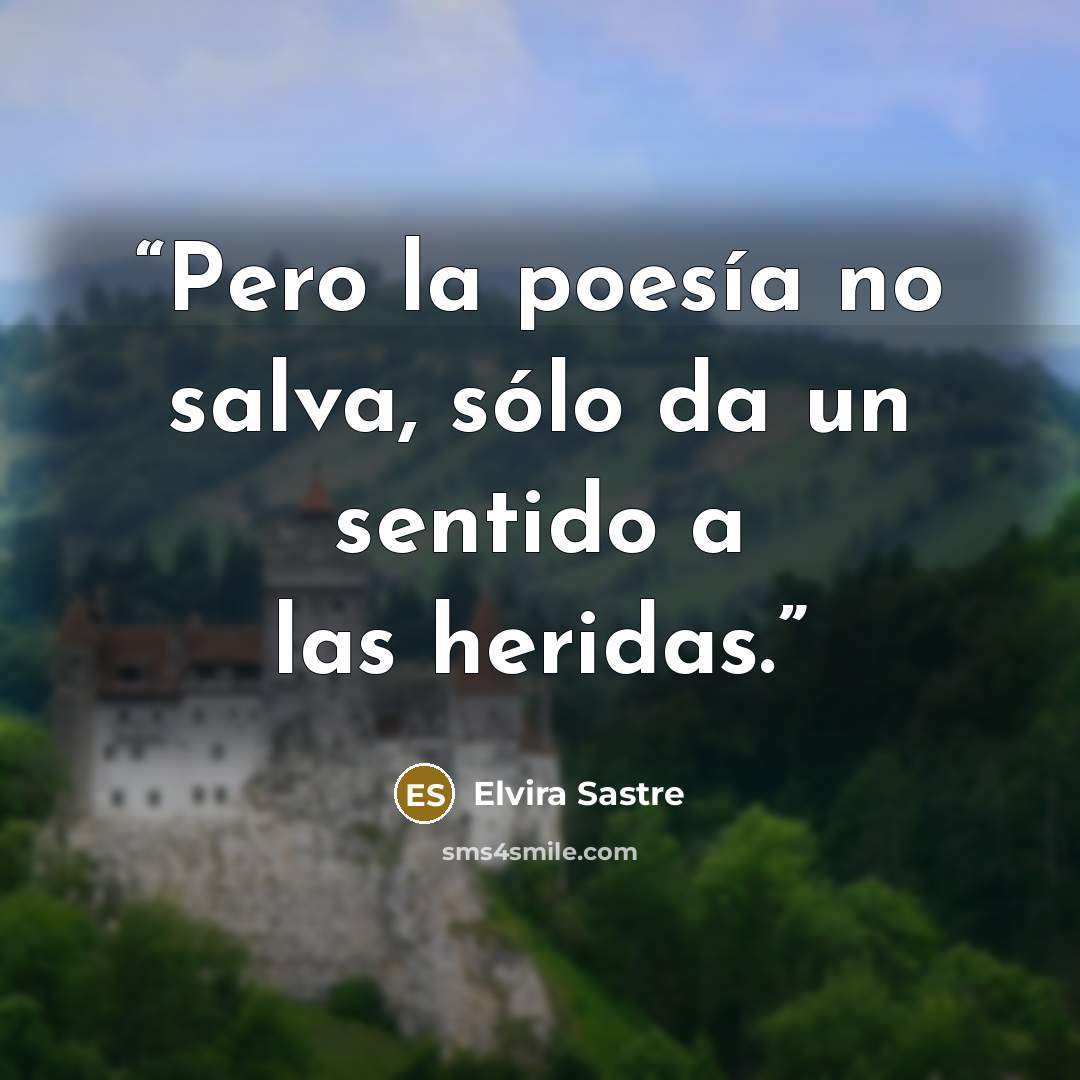 “Pero la poesía no salva, sólo da un sentido a las heridas.” quote by Elvira Sastre