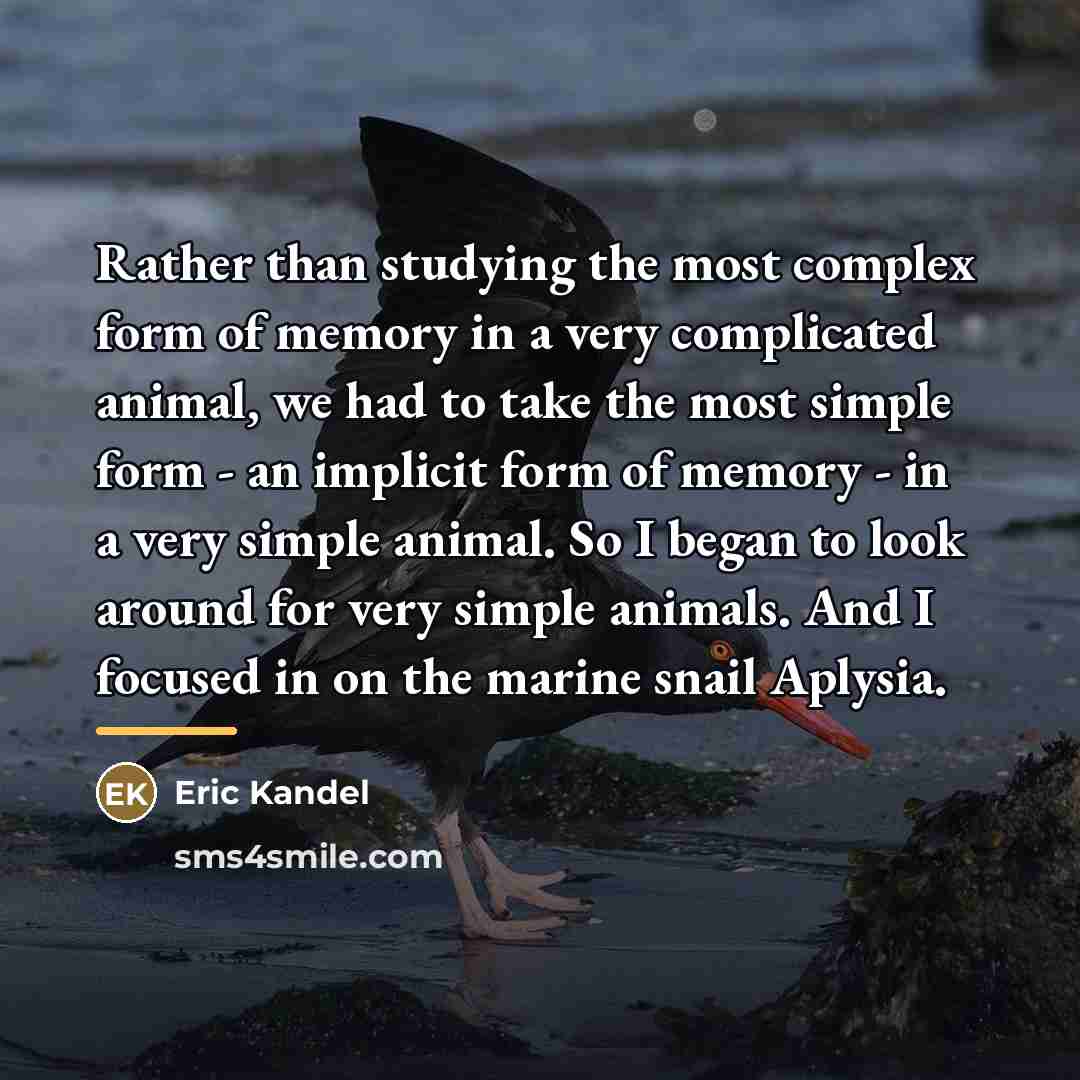 “Rather than studying the most complex form of memory in…” quote by Eric Kandel