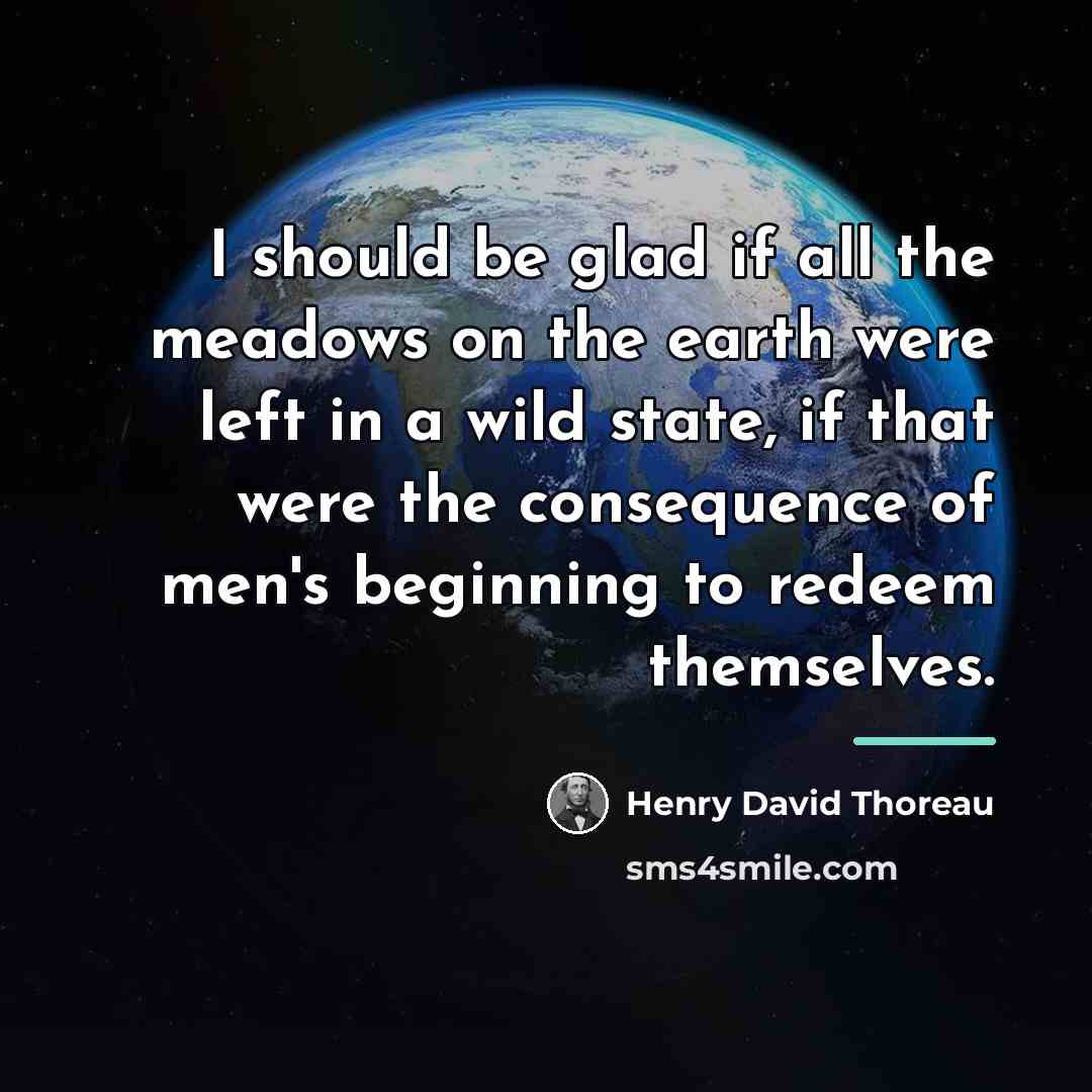 “I should be glad if all the meadows on the…” quote by Henry David Thoreau