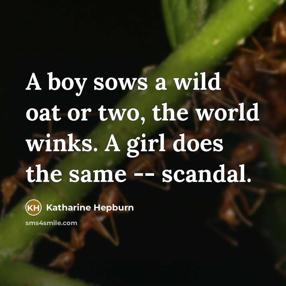 “A boy sows a wild oat or two, the world…” quote by Katharine Hepburn