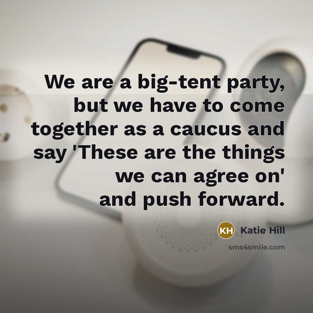 “We are a big-tent party, but we have to come…” quote by Katie Hill