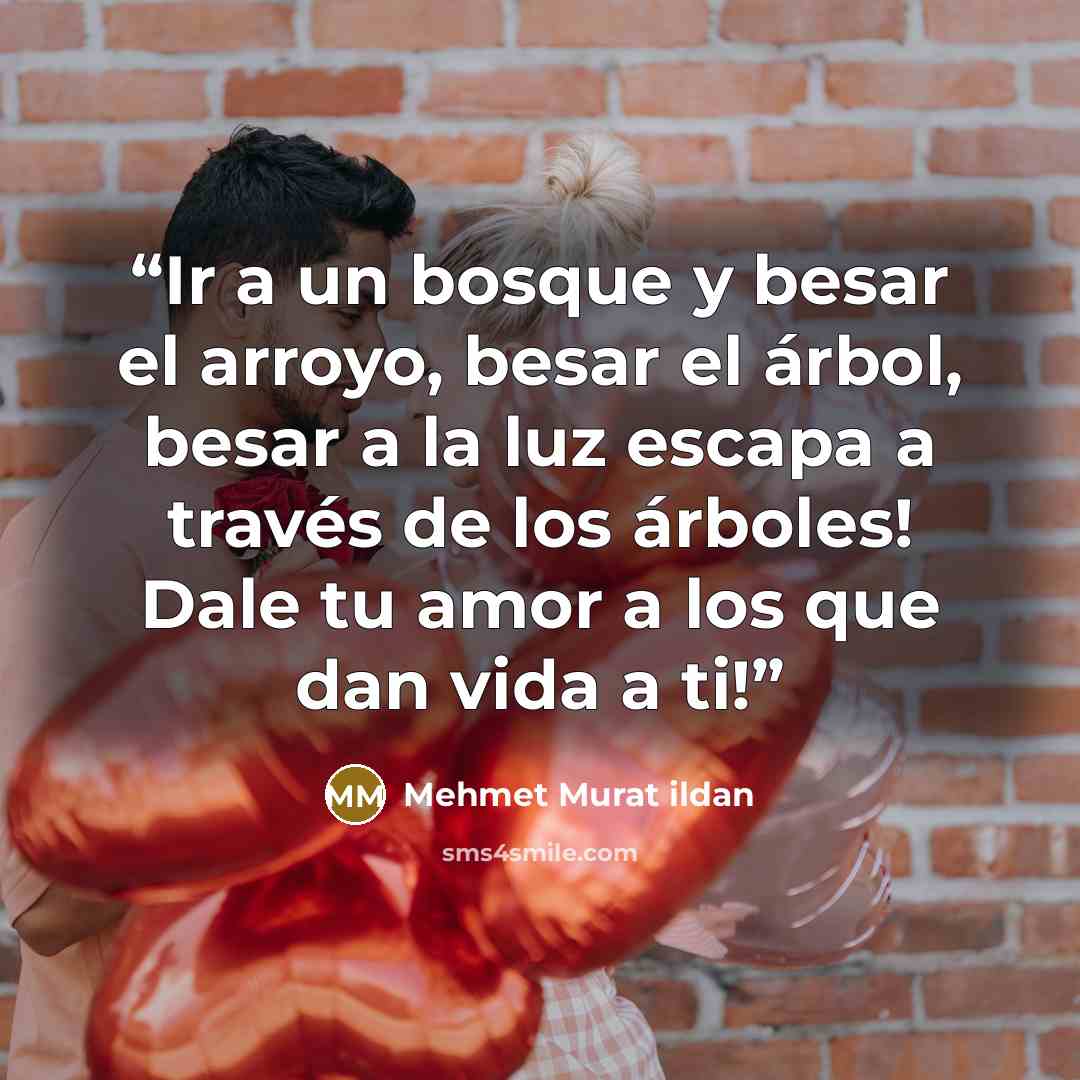 “Ir a un bosque y besar el arroyo, besar el árbol, besar a la luz escapa a través de los árboles! Dale tu amor a los que dan vida a ti!” quote by Mehmet Murat ildan