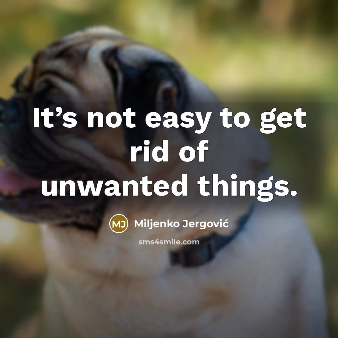 “It’s not easy to get rid of unwanted things.…” quote by Miljenko Jergovic