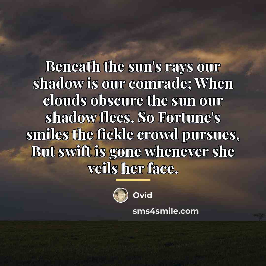 “Beneath the sun's rays our shadow is our comrade; When…” quote by Ovid