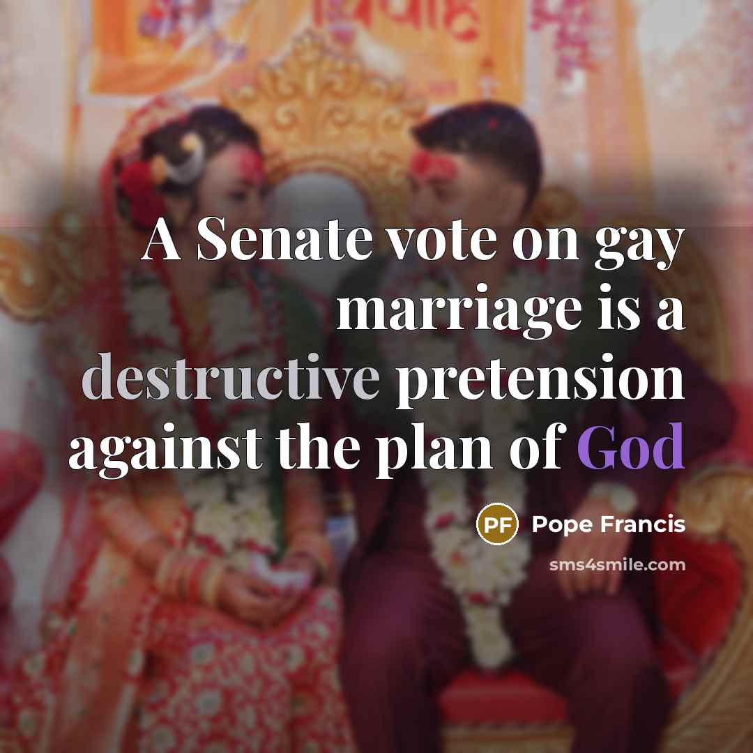 “A Senate vote on gay marriage is a destructive pretension…” quote by Pope Francis