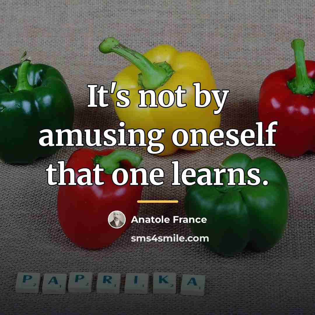 “It's not by amusing oneself that one learns.…” quote by Anatole France