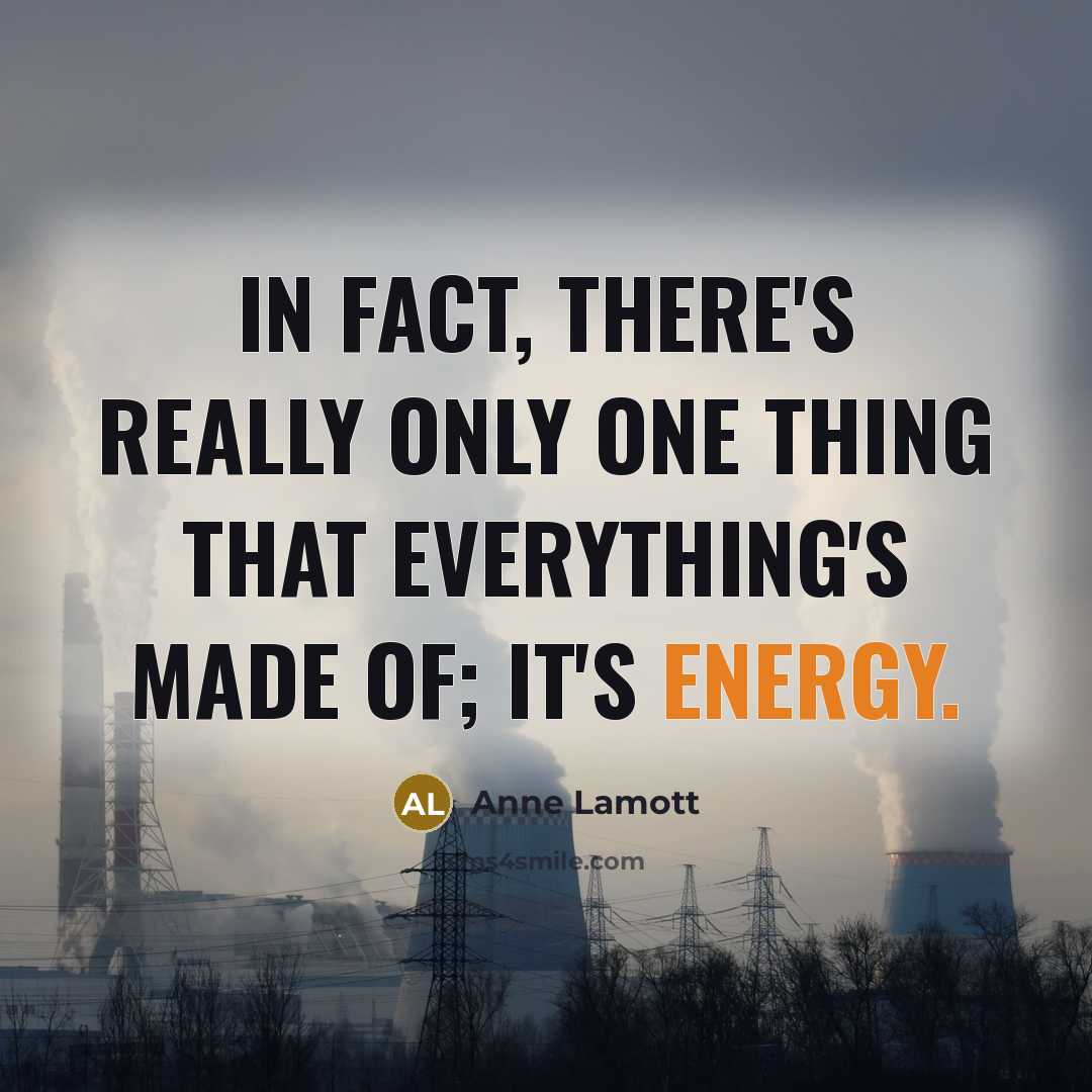 “In fact, there's really only one thing that everything's made…” quote by Anne Lamott