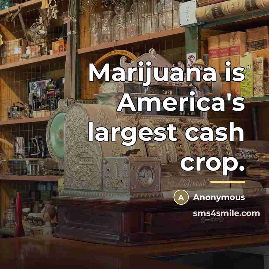 “Marijuana is America's largest cash crop.…” quote by Anonymous