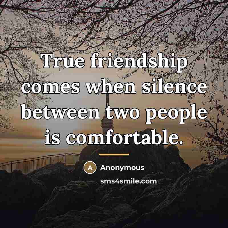“True friendship comes when silence between two people is comfortable.…” quote by Anonymous