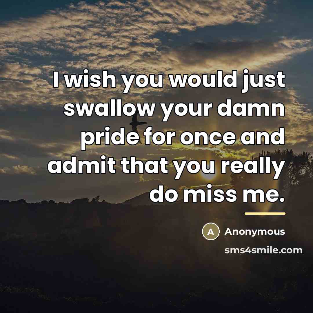 “I wish you would just swallow your damn pride for…” quote by Anonymous