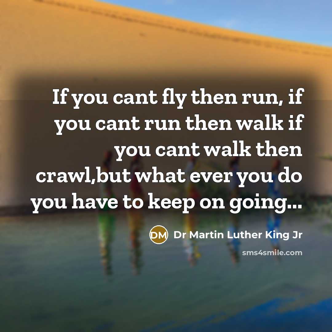 “If you cant fly then run, if you cant run…” quote by Dr Martin Luther King Jr