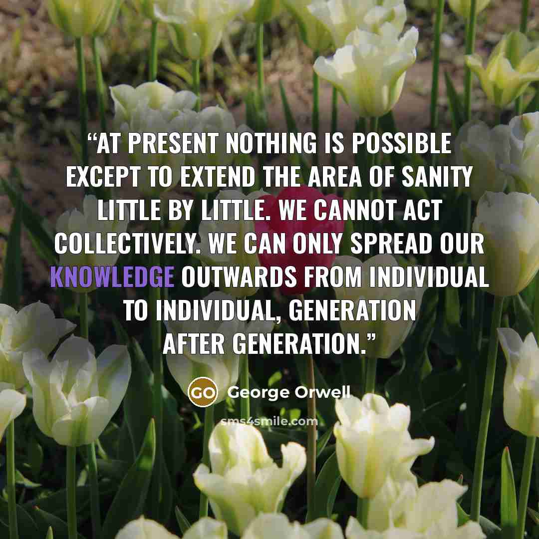 “At present nothing is possible except to extend the area of sanity little by little. We cannot act collectively. We can only spread our knowledge outwards from individual to individual, generation after generation.” quote by George Orwell