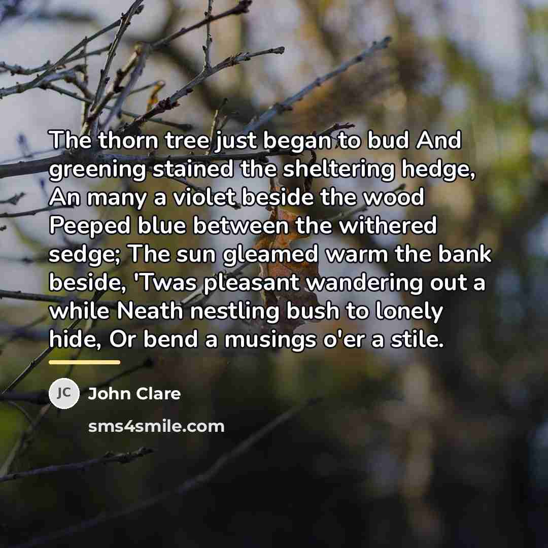 “The thorn tree just began to bud And greening stained…” quote by John Clare