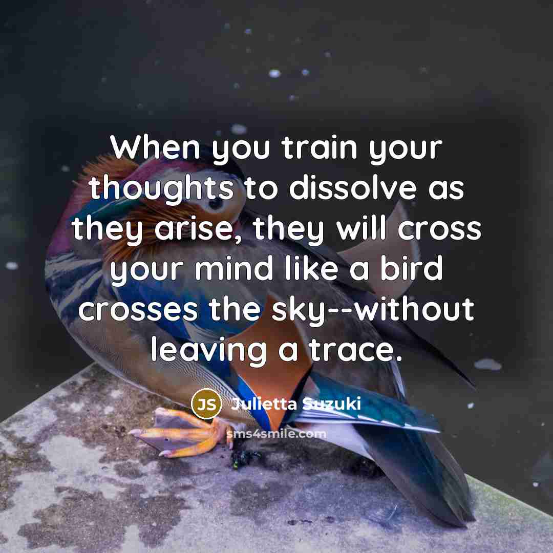 “When you train your thoughts to dissolve as they arise, they will cross your mind like a bird crosses the sky--without leaving a trace.” quote by Julietta Suzuki