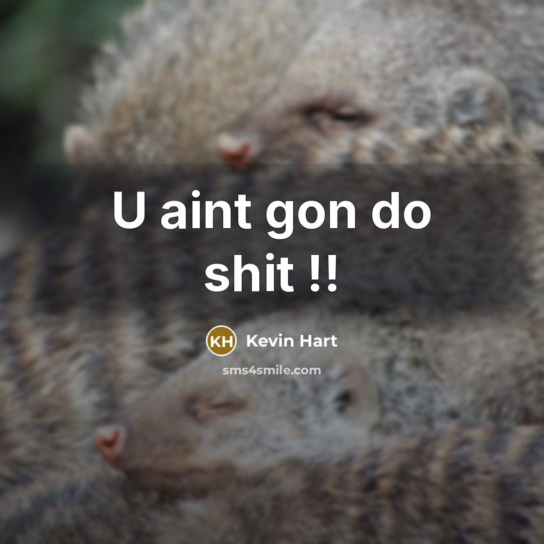 “U aint gon do shit !!” quote by Kevin Hart
